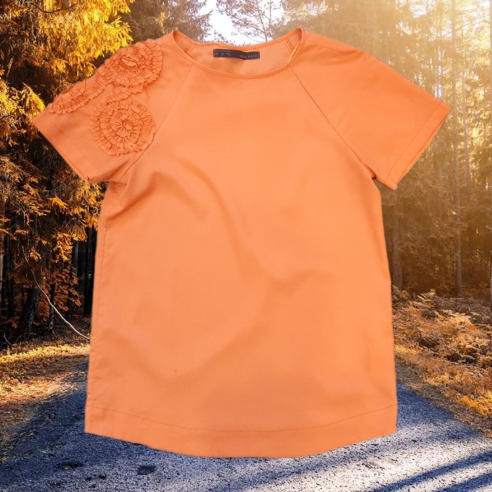 Zara Short Raglan Sleeve Top Ruffled Applique Satin Like Pumpkin Orange Size XS